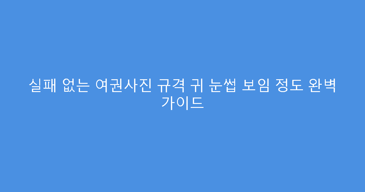실패 없는 여권사진 규격 귀 눈썹 보임 정도 완벽 가이드