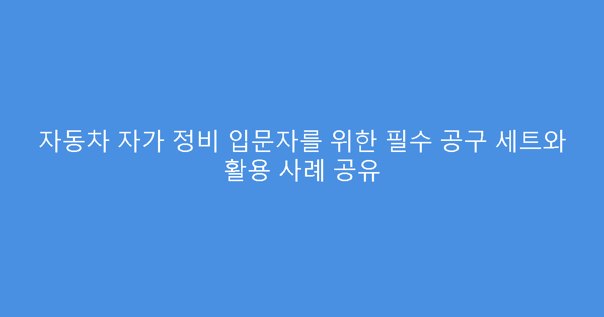 자동차 자가 정비 입문자를 위한 필수 공구 세트와 활용 사례 공유