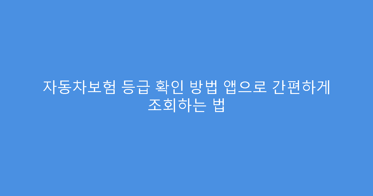 자동차보험 등급 확인 방법 앱으로 간편하게 조회하는 법