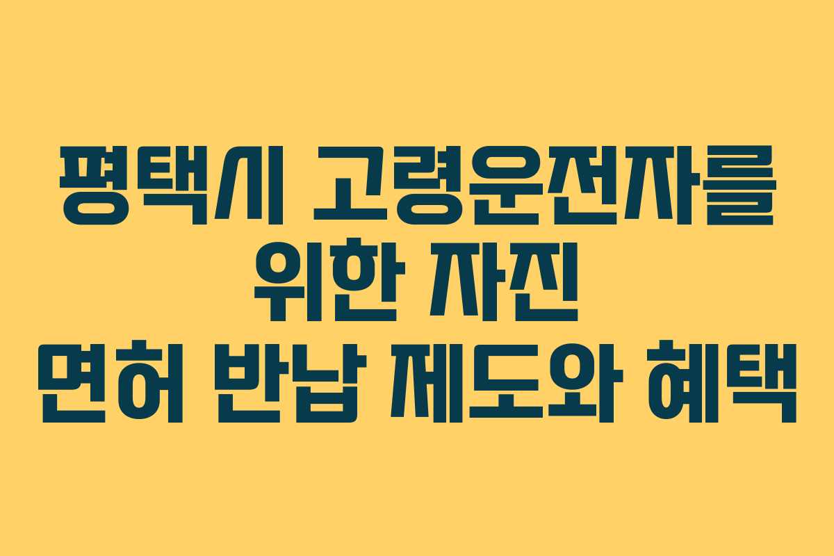 평택시 고령운전자를 위한 자진 면허 반납 제도와 혜택
