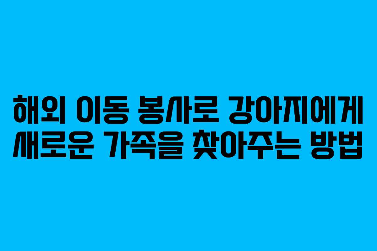 해외 이동 봉사로 강아지에게 새로운 가족을 찾아주는 방법