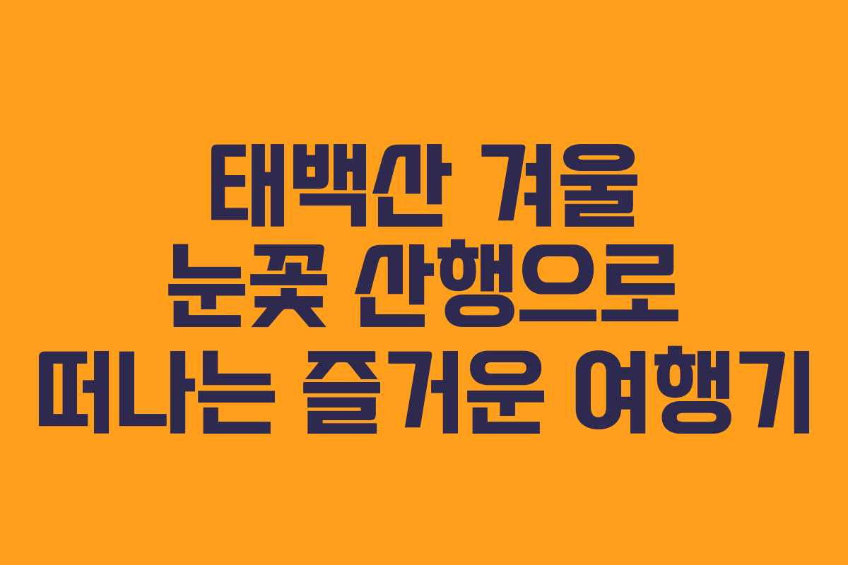 태백산 겨울 눈꽃 산행으로 떠나는 즐거운 여행기