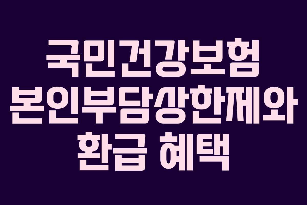 국민건강보험 본인부담상한제와 환급 혜택