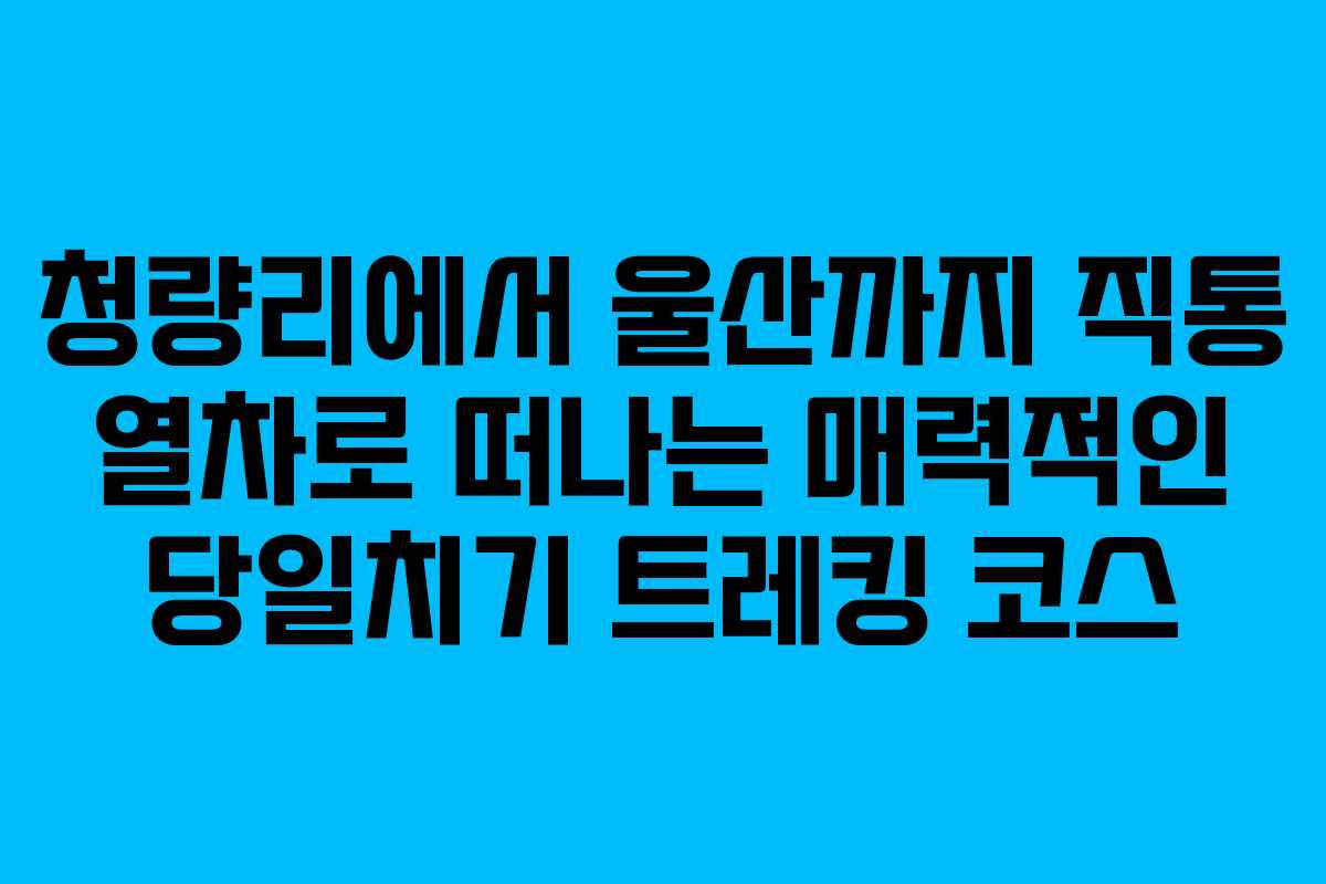청량리에서 울산까지 직통 열차로 떠나는 매력적인 당일치기 트레킹 코스