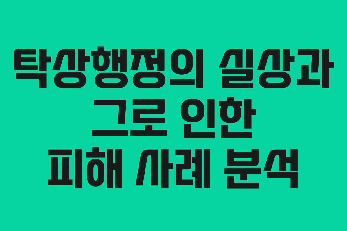 탁상행정의 실상과 그로 인한 피해 사례 분석