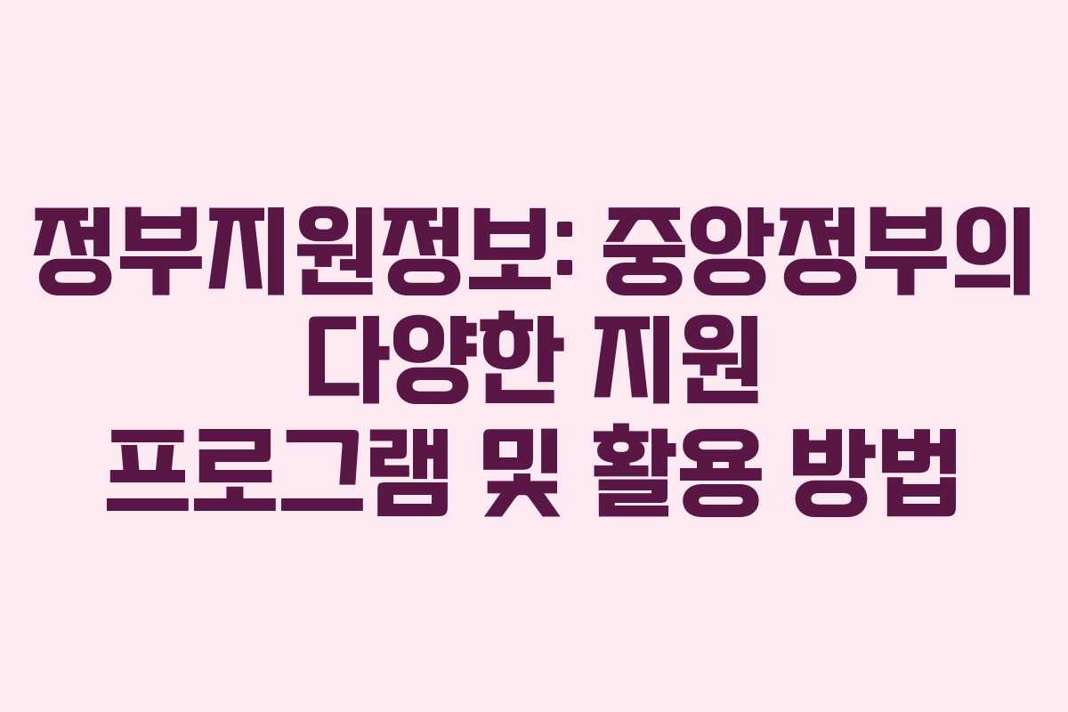 정부지원정보: 중앙정부의 다양한 지원 프로그램 및 활용 방법