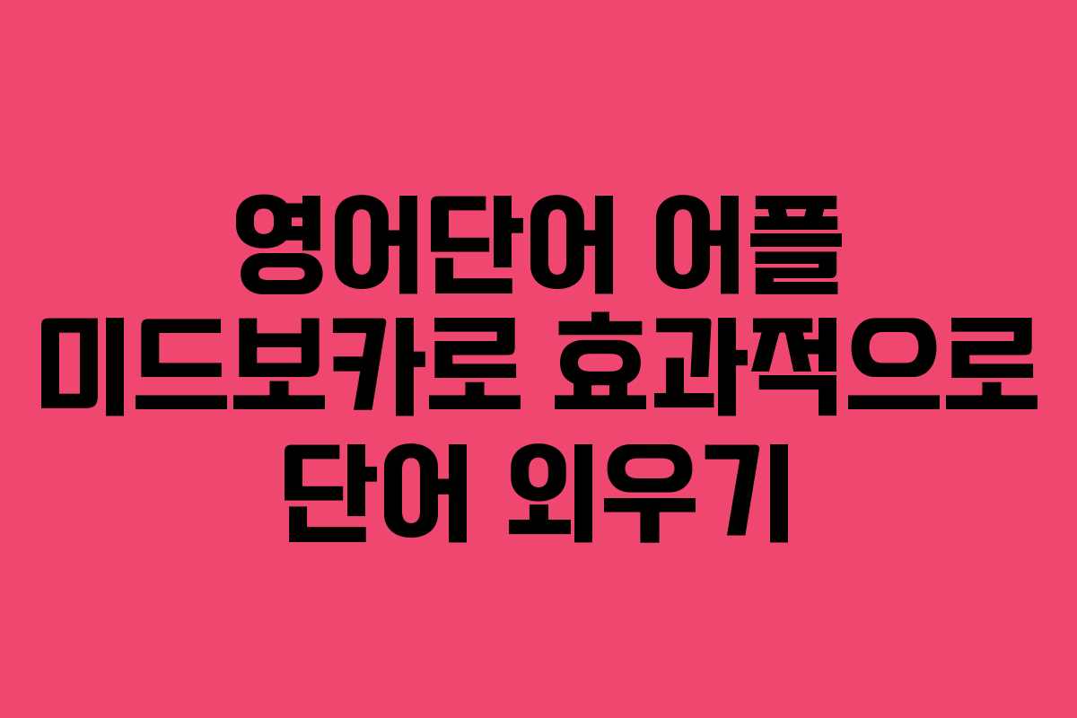 영어단어 어플 미드보카로 효과적으로 단어 외우기