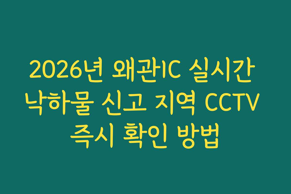 2026년 왜관IC 실시간 낙하물 신고 지역 CCTV 즉시 확인 방법