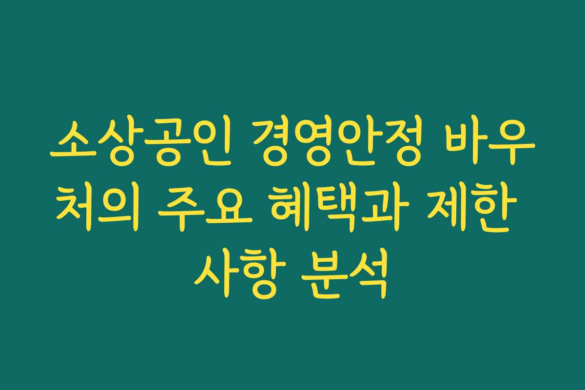 소상공인 경영안정 바우처의 주요 혜택과 제한 사항 분석