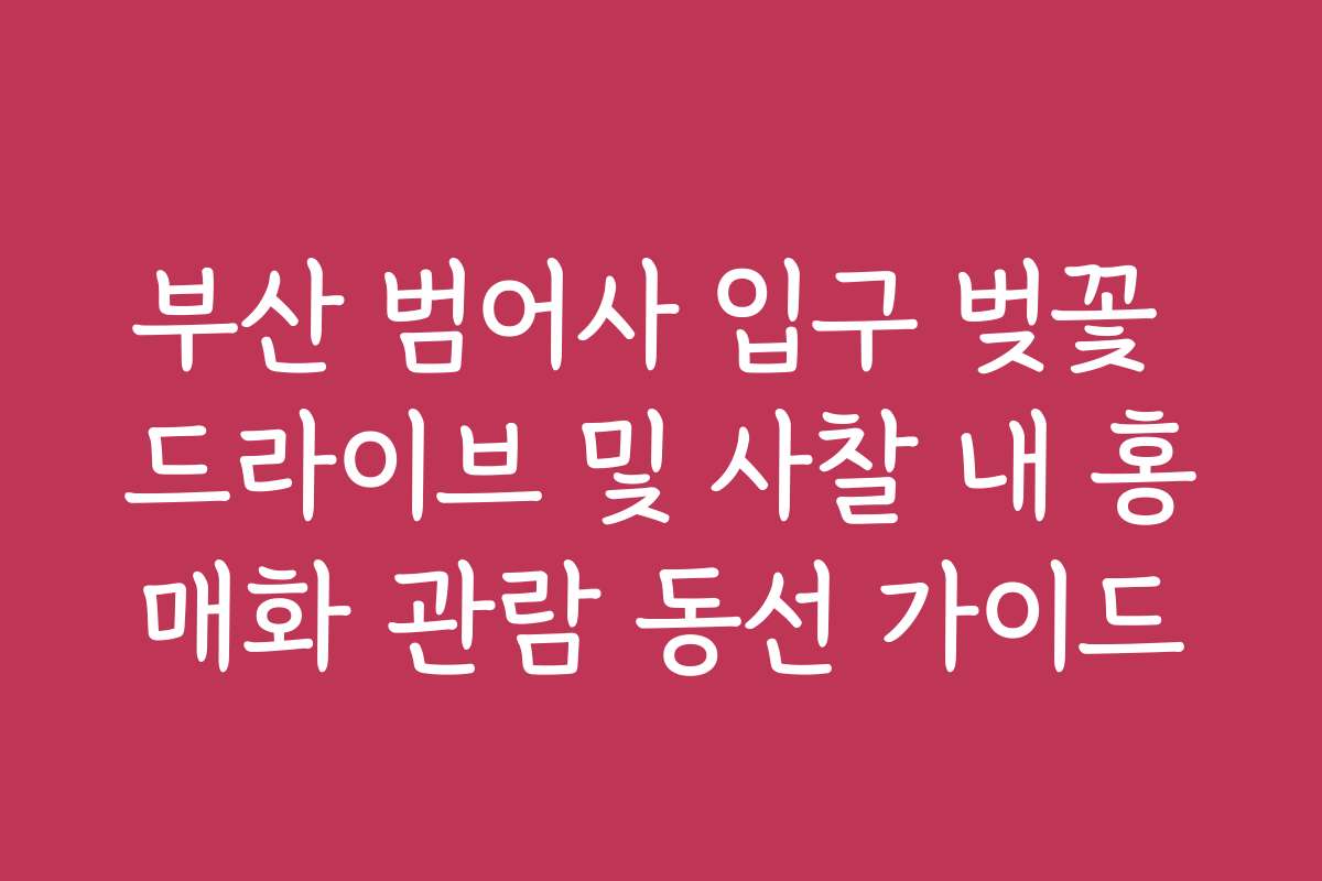 부산 범어사 입구 벚꽃 드라이브 및 사찰 내 홍매화 관람 동선 가이드