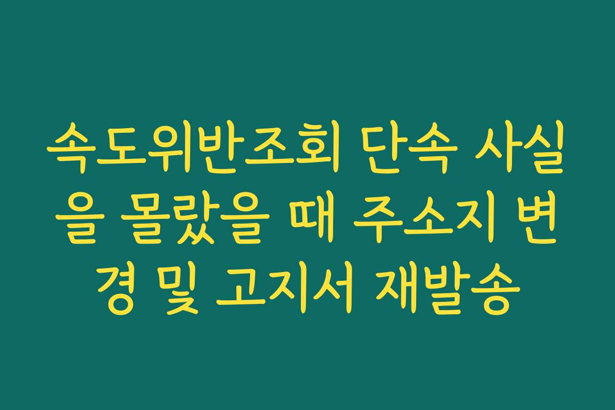 속도위반조회 단속 사실을 몰랐을 때 주소지 변경 및 고지서 재발송
