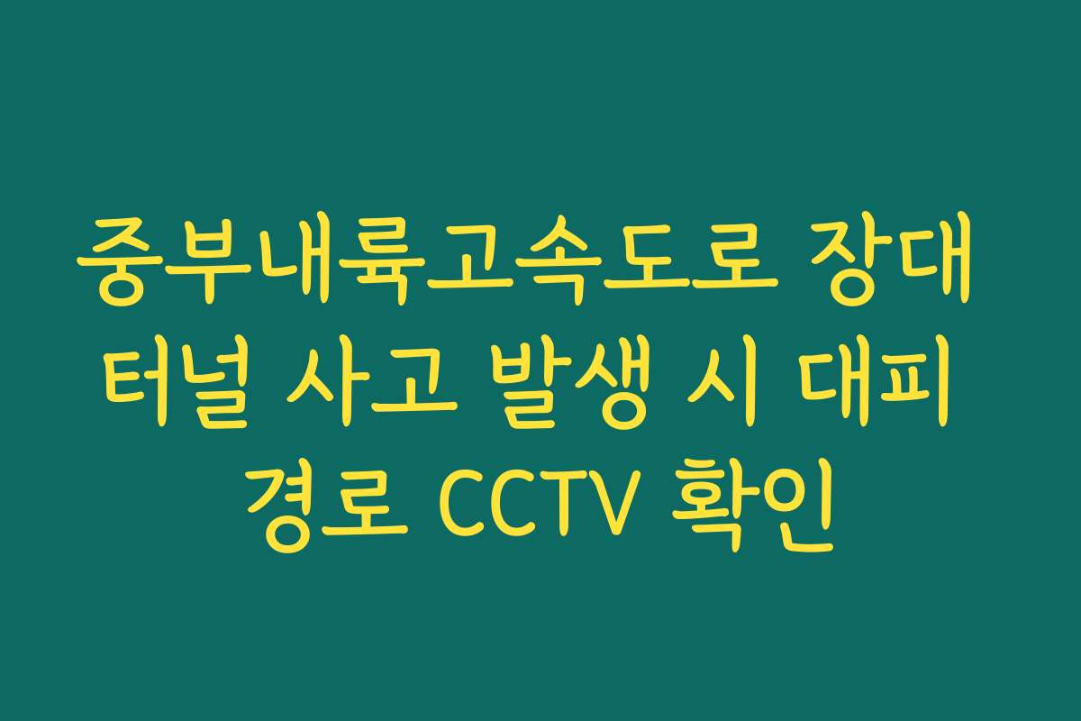 중부내륙고속도로 장대 터널 사고 발생 시 대피 경로 CCTV 확인