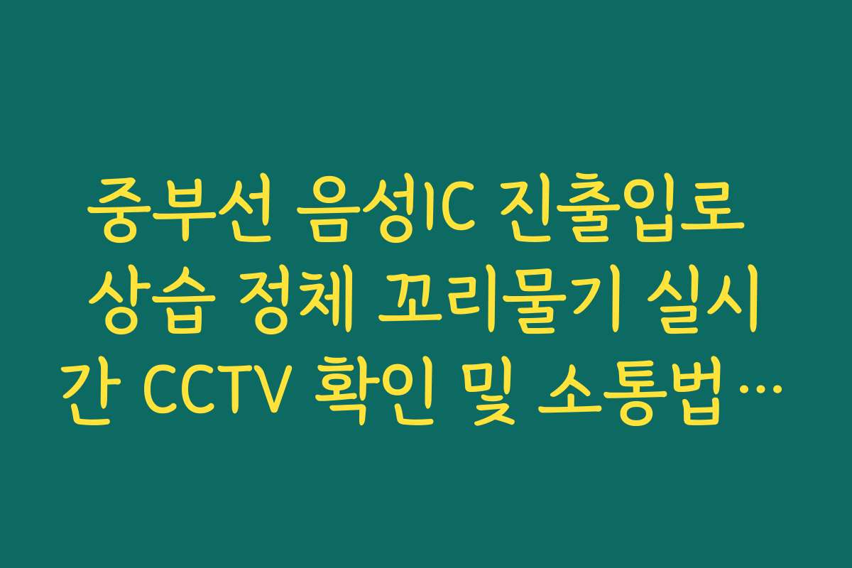중부선 음성IC 진출입로 상습 정체 꼬리물기 실시간 CCTV 확인 및 소통법 확인