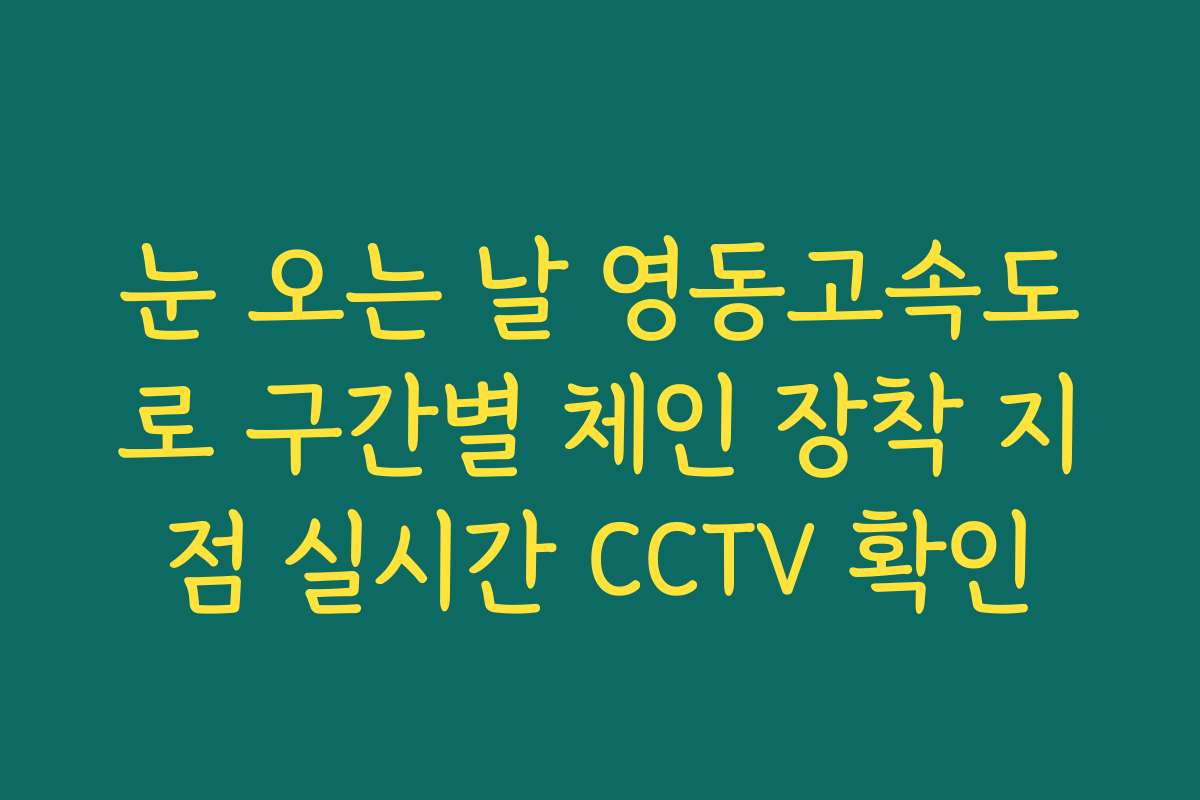 눈 오는 날 영동고속도로 구간별 체인 장착 지점 실시간 CCTV 확인