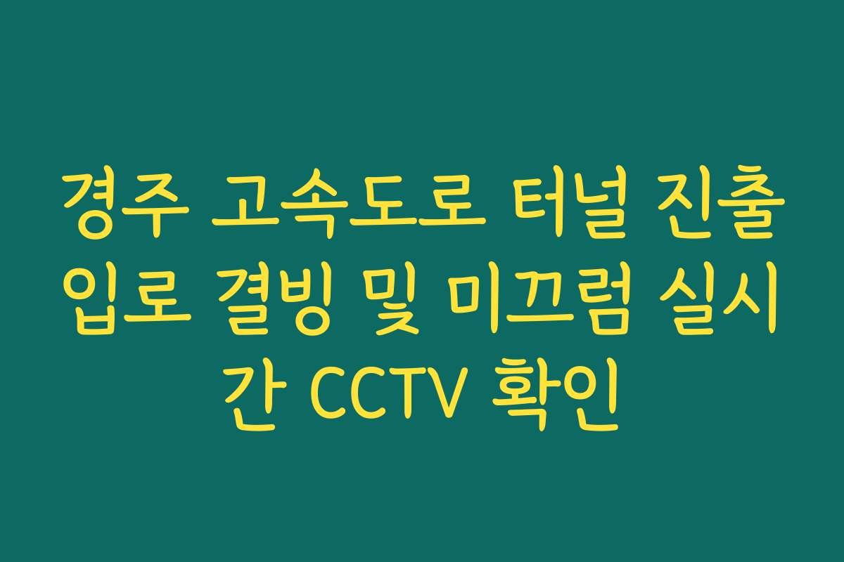 경주 고속도로 터널 진출입로 결빙 및 미끄럼 실시간 CCTV 확인