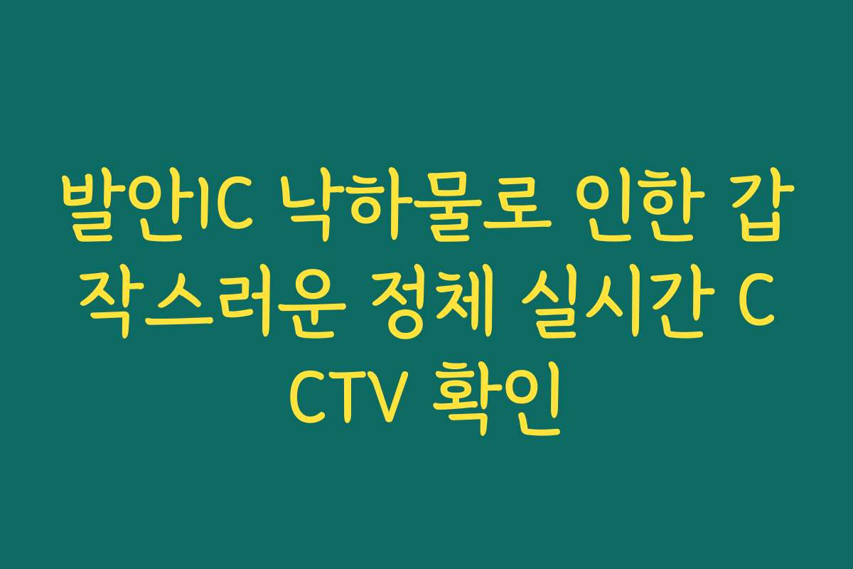 발안IC 낙하물로 인한 갑작스러운 정체 실시간 CCTV 확인