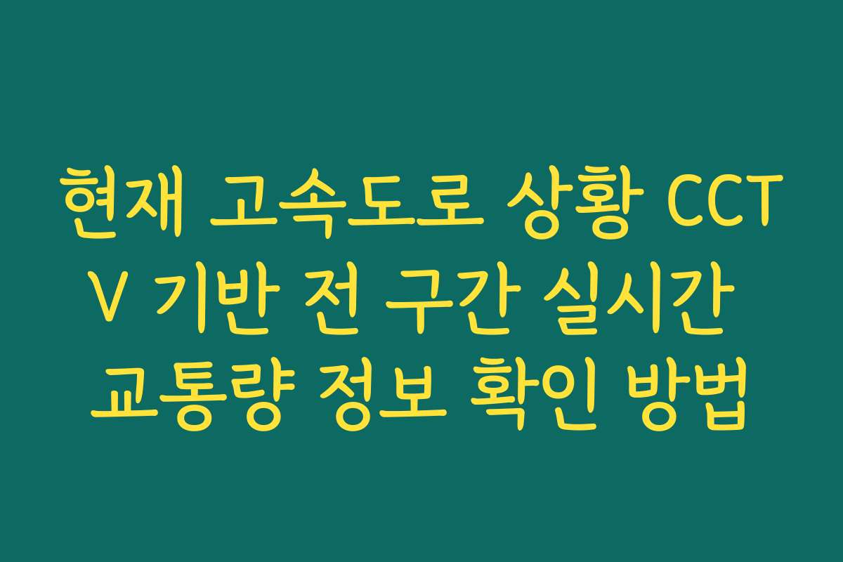 현재 고속도로 상황 CCTV 기반 전 구간 실시간 교통량 정보 확인 방법