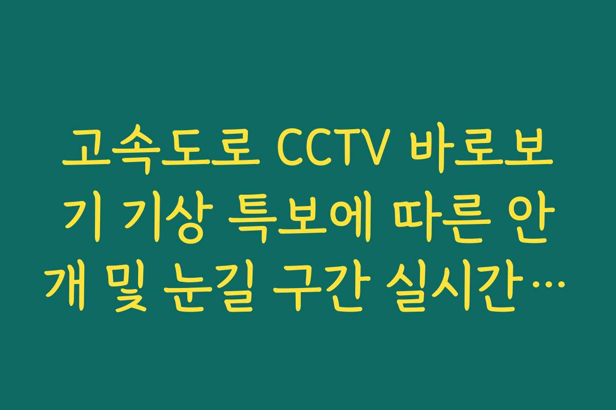 고속도로 CCTV 바로보기 기상 특보에 따른 안개 및 눈길 구간 실시간 체크