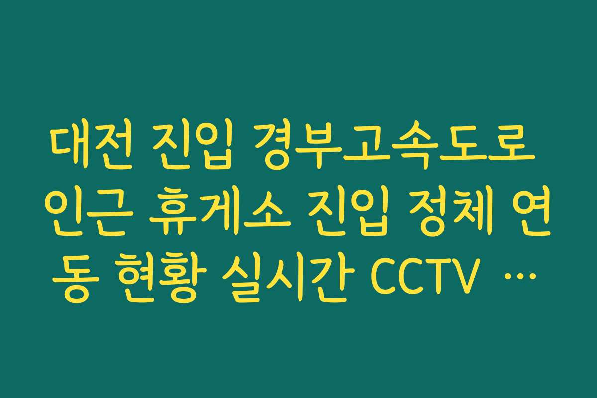대전 진입 경부고속도로 인근 휴게소 진입 정체 연동 현황 실시간 CCTV 확인