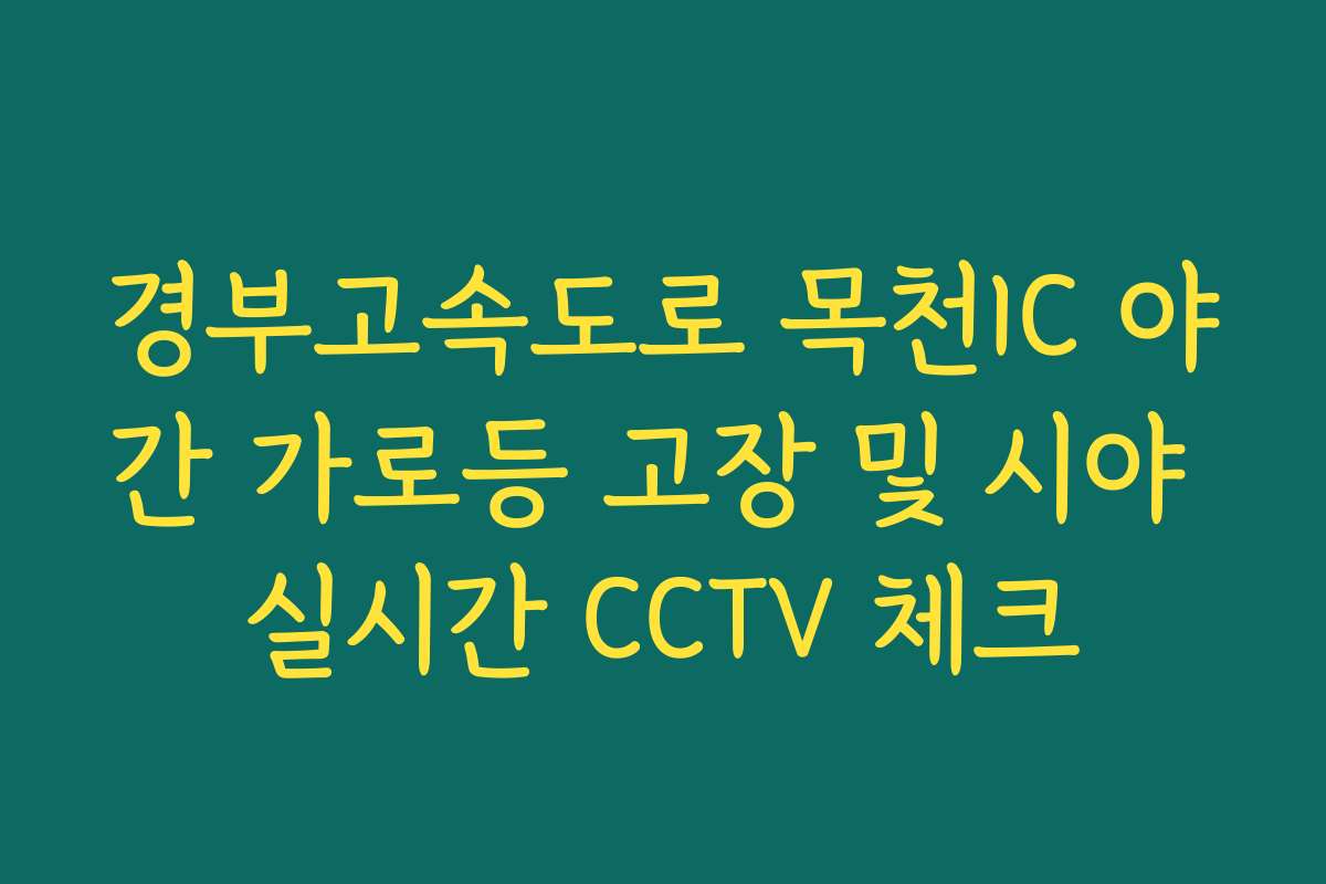 경부고속도로 목천IC 야간 가로등 고장 및 시야 실시간 CCTV 체크