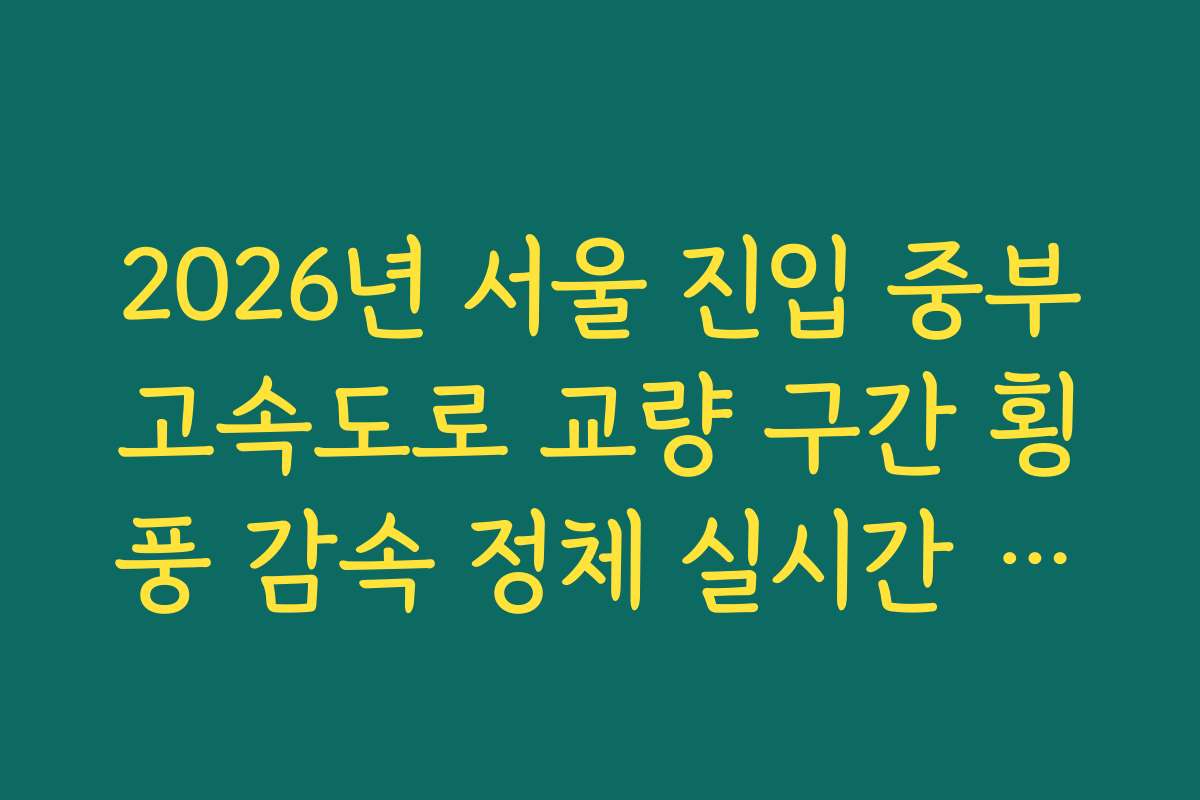 2026년 서울 진입 중부고속도로 교량 구간 횡풍 감속 정체 실시간 확인 방법