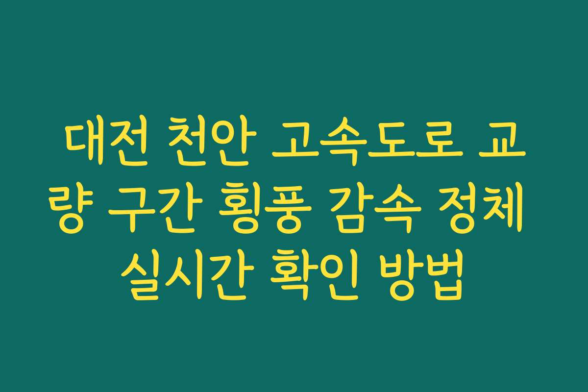 대전 천안 고속도로 교량 구간 횡풍 감속 정체 실시간 확인 방법