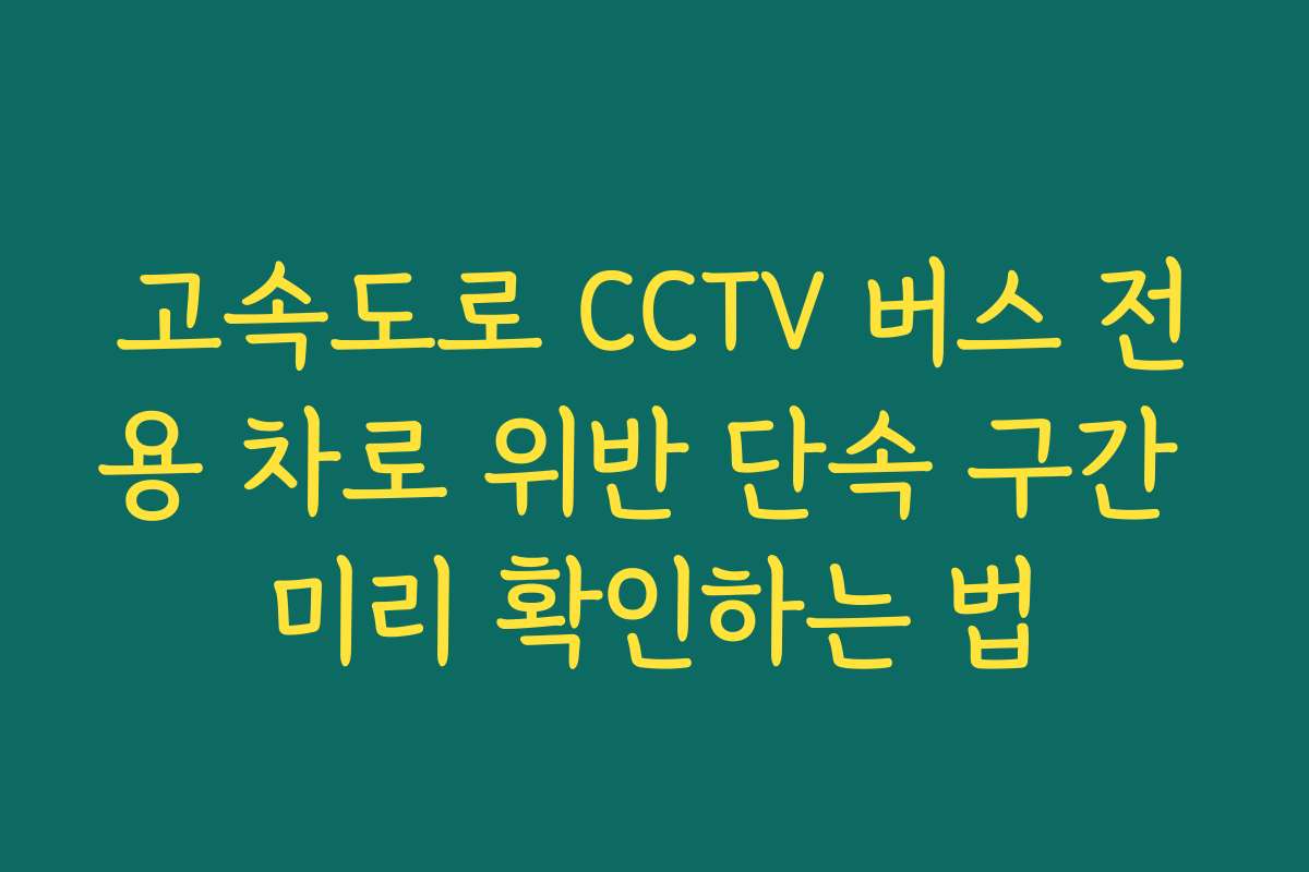 고속도로 CCTV 버스 전용 차로 위반 단속 구간 미리 확인하는 법