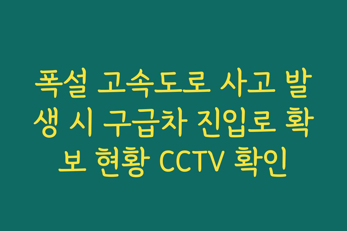폭설 고속도로 사고 발생 시 구급차 진입로 확보 현황 CCTV 확인