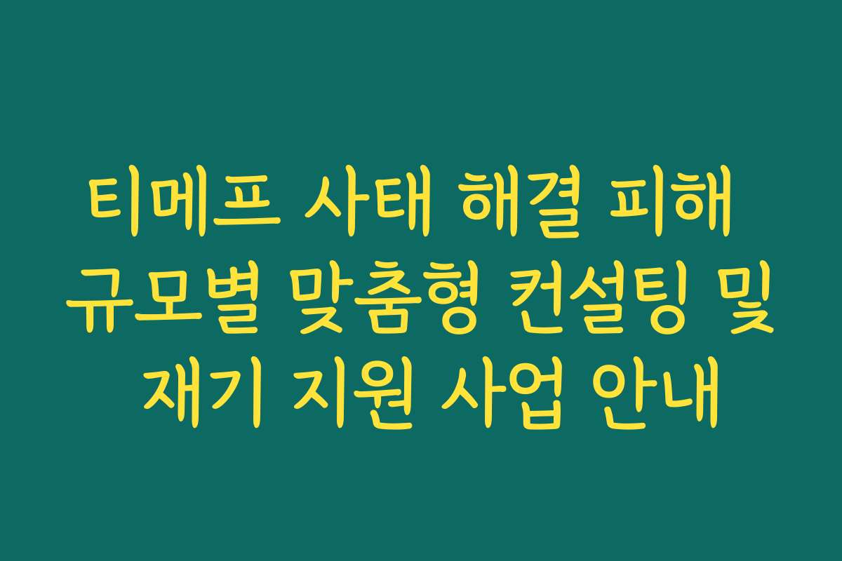 티메프 사태 해결 피해 규모별 맞춤형 컨설팅 및 재기 지원 사업 안내