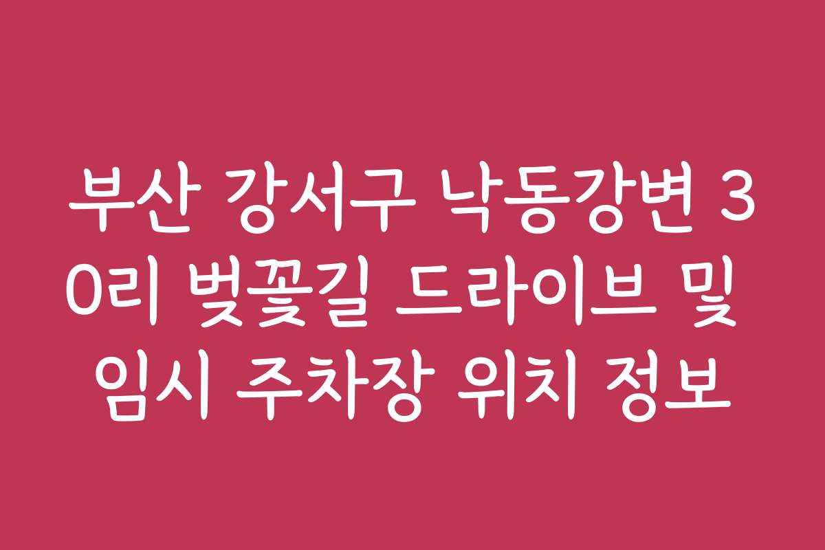 부산 강서구 낙동강변 30리 벚꽃길 드라이브 및 임시 주차장 위치 정보