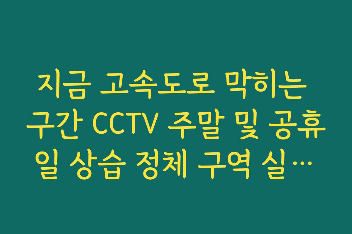 지금 고속도로 막히는 구간 CCTV 주말 및 공휴일 상습 정체 구역 실시간 분석