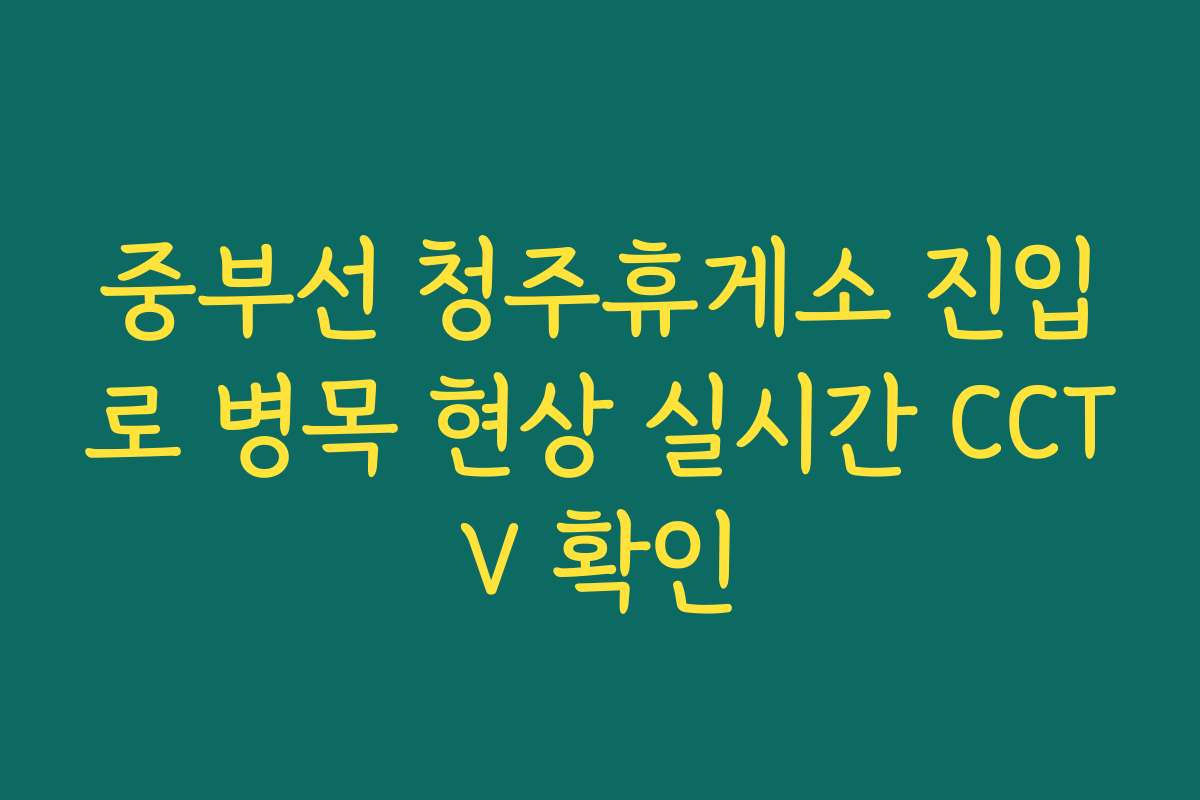 중부선 청주휴게소 진입로 병목 현상 실시간 CCTV 확인