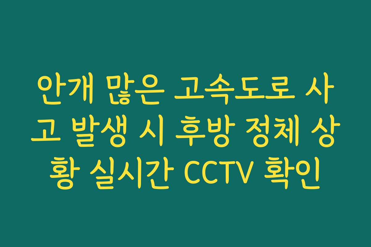안개 많은 고속도로 사고 발생 시 후방 정체 상황 실시간 CCTV 확인