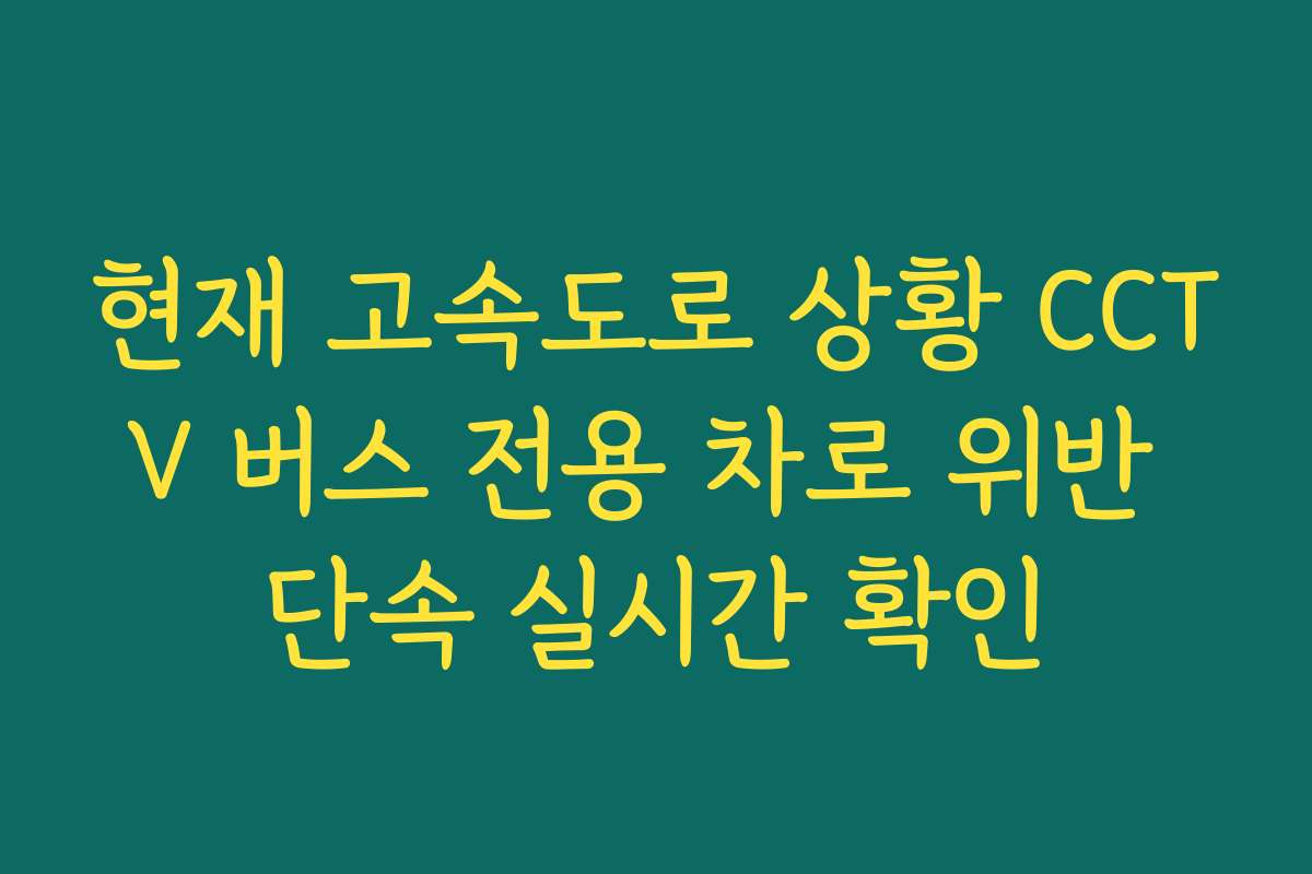 현재 고속도로 상황 CCTV 버스 전용 차로 위반 단속 실시간 확인