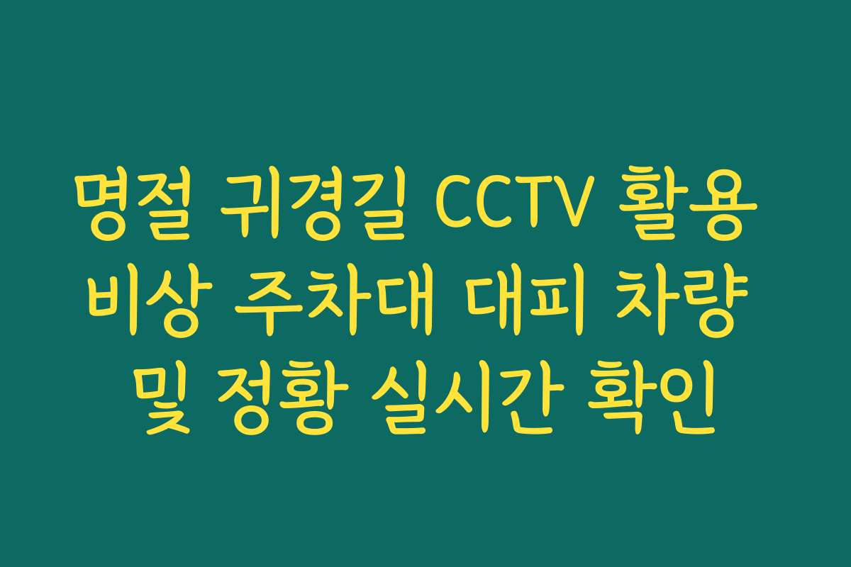 명절 귀경길 CCTV 활용 비상 주차대 대피 차량 및 정황 실시간 확인