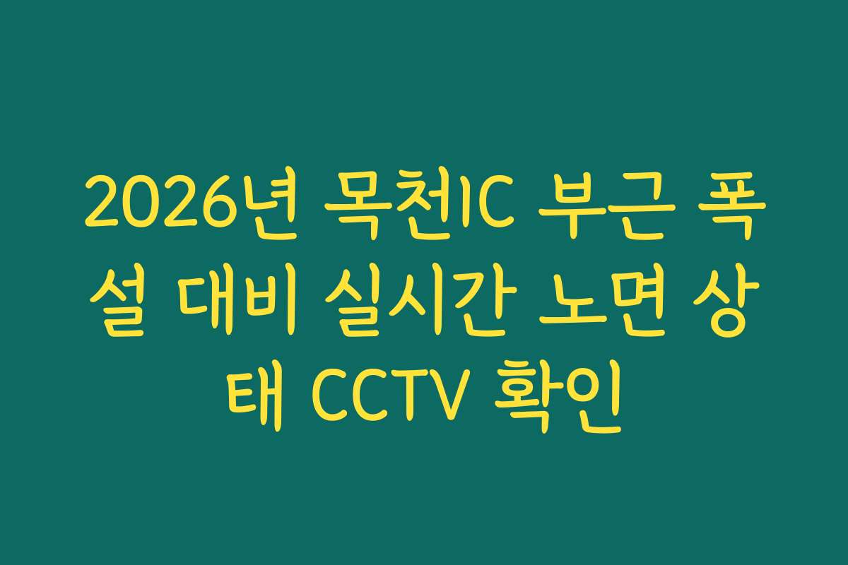 2026년 목천IC 부근 폭설 대비 실시간 노면 상태 CCTV 확인
