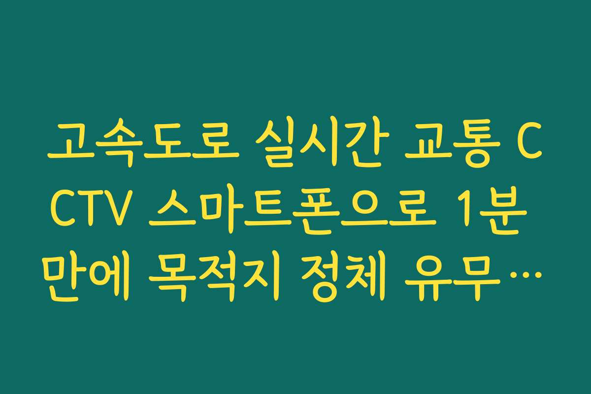 고속도로 실시간 교통 CCTV 스마트폰으로 1분 만에 목적지 정체 유무 파악
