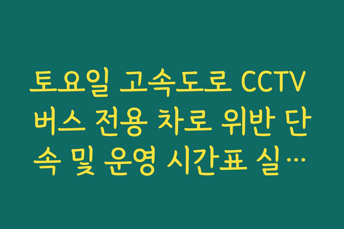 토요일 고속도로 CCTV 버스 전용 차로 위반 단속 및 운영 시간표 실시간 확인