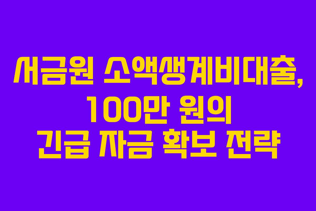 서금원 소액생계비대출, 100만 원의 긴급 자금 확보 전략