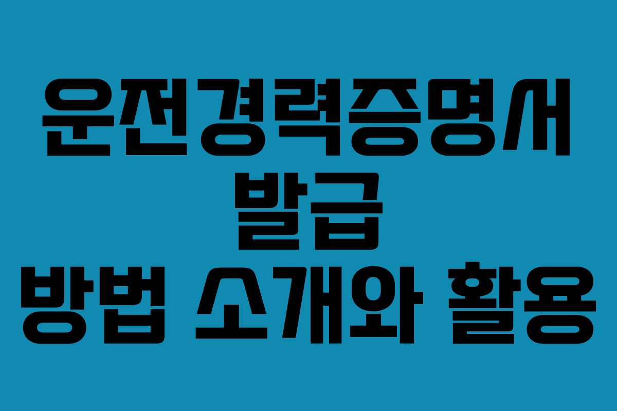 운전경력증명서 발급 방법 소개와 활용