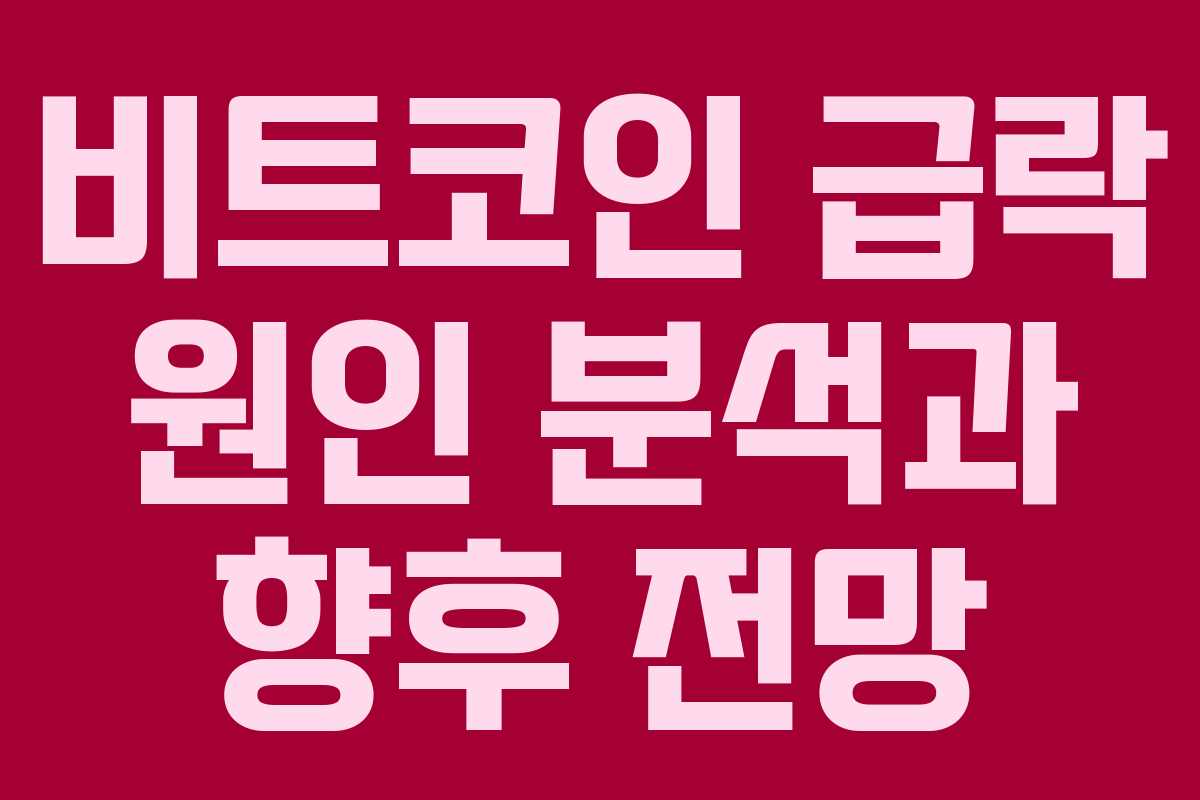 비트코인 급락 원인 분석과 향후 전망