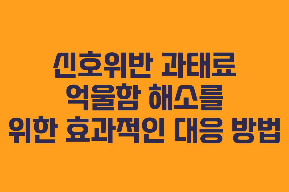 신호위반 과태료 억울함 해소를 위한 효과적인 대응 방법