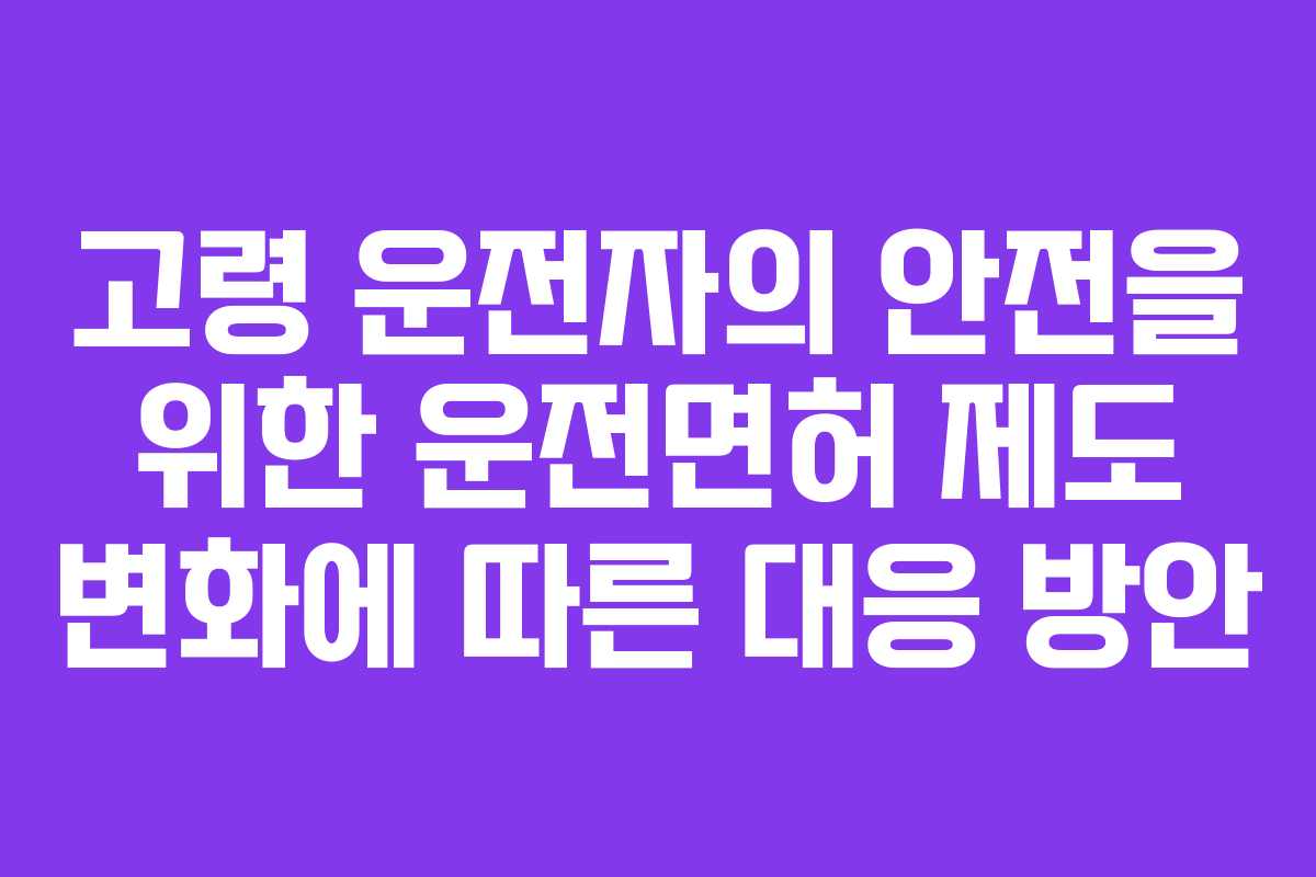 고령 운전자의 안전을 위한 운전면허 제도 변화에 따른 대응 방안