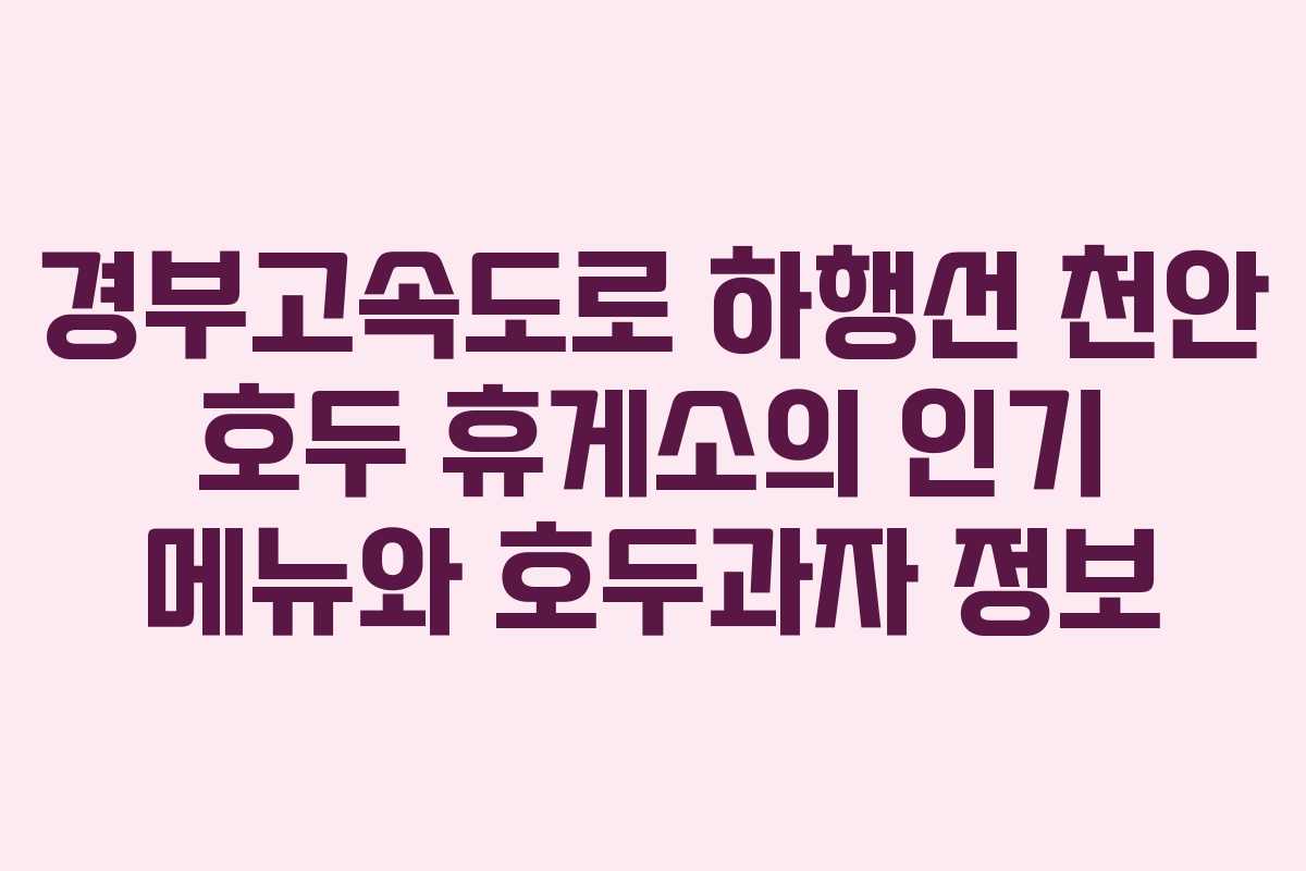 경부고속도로 하행선 천안 호두 휴게소의 인기 메뉴와 호두과자 정보
