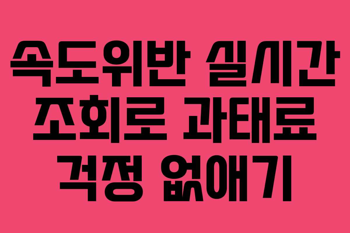 속도위반 실시간 조회로 과태료 걱정 없애기