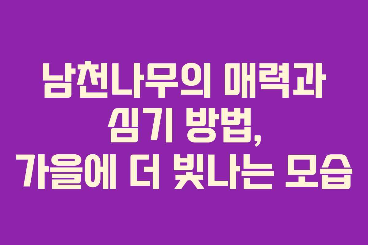 남천나무의 매력과 심기 방법, 가을에 더 빛나는 모습