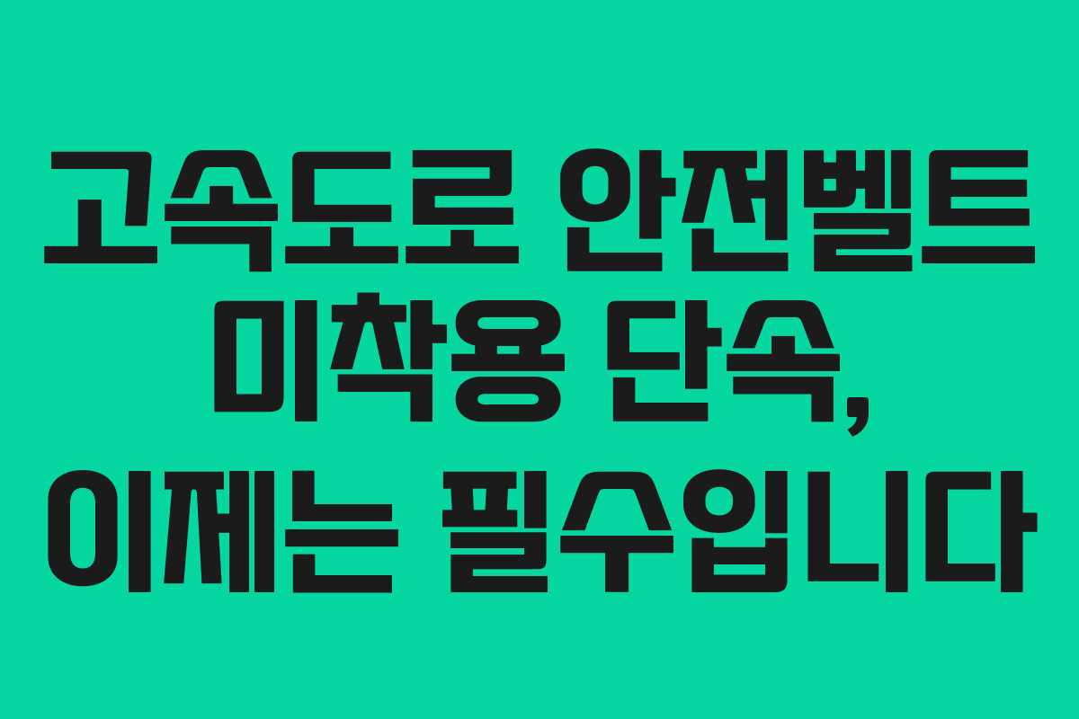 고속도로 안전벨트 미착용 단속, 이제는 필수입니다