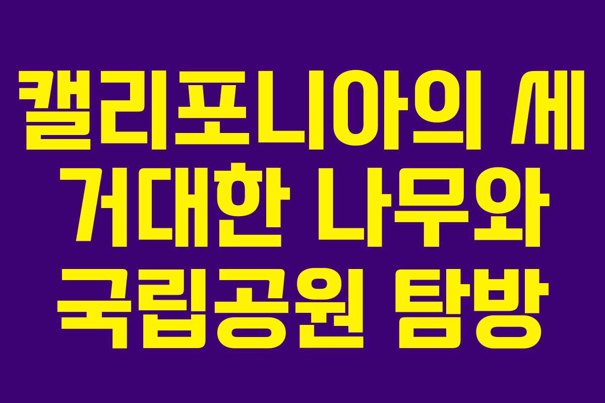 캘리포니아의 세 거대한 나무와 국립공원 탐방