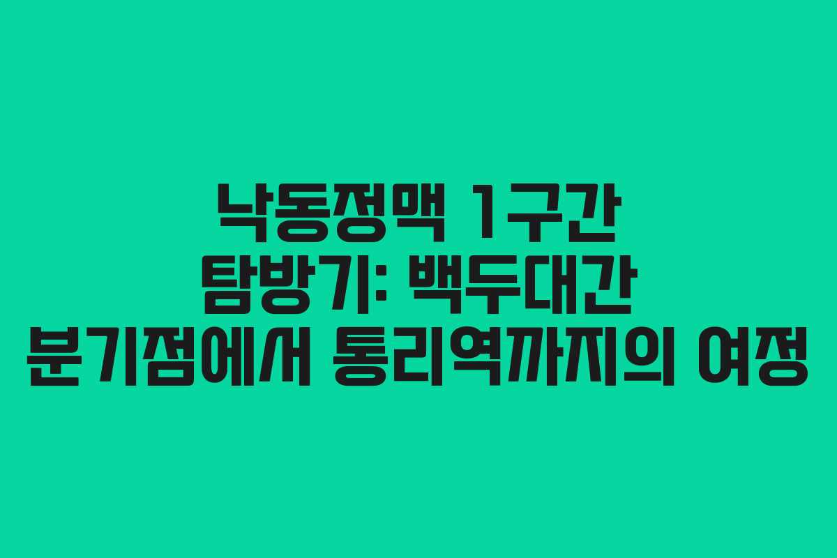 낙동정맥 1구간 탐방기: 백두대간 분기점에서 통리역까지의 여정