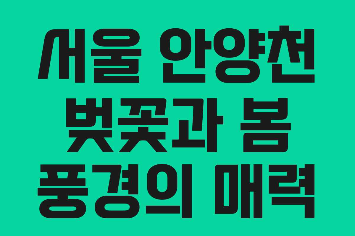 서울 안양천 벚꽃과 봄 풍경의 매력